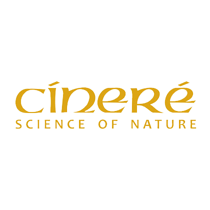 سینره - Cinere