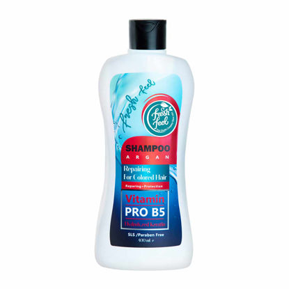 شامپو محافظ و ترمیم کننده موهای رنگ شده فرش فیل مدل آرگان Fresh Feel Shampoo ARGAN حجم 400 میلی لیتر