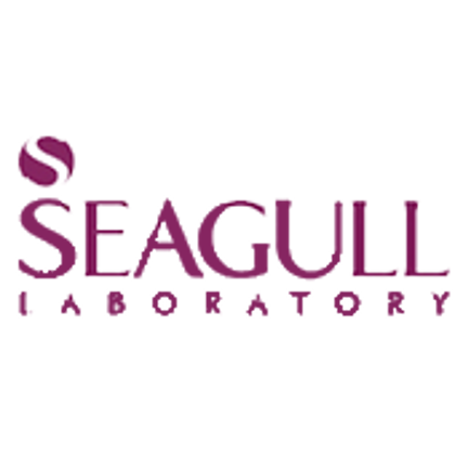 سی گل - Seagull