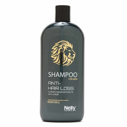 شامپو ضد ریزش مو مردانه نلی پروفشنال NELLY مدل ANTI-HAIR LOSS حجم 400 میل