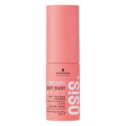 پودر حجم دهنده و حالت دهنده مو اوسیس OSiS مدل SOFT DUST وزن 10 گرم 