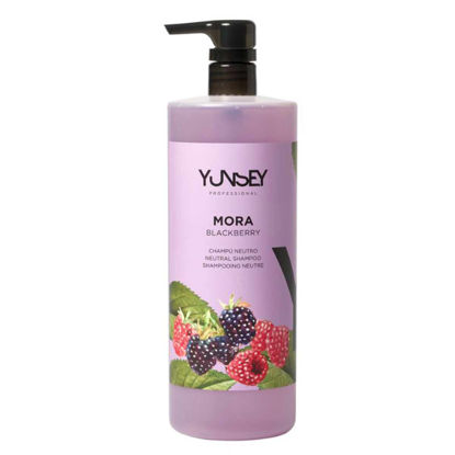 شامپو روزانه و طبیعی PH خنثی برای انواع مو یانسی YUNSEY مدل Aromatica با رایحه بلک بری ( تمشک ) حجم 1000 میل