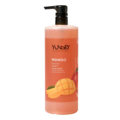 شامپو روزانه و طبیعی PH خنثی برای انواع مو یانسی YUNSEY مدل Aromatica با رایحه انبه حجم 1000 میل