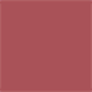 رژلب جامد براق شماره 889 آرت دکو artdeco مدل perfect color وزن 4 گرم